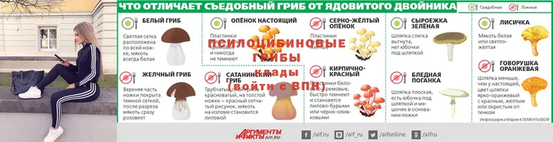 купить наркоту  Кировград  блэк спрут рабочий сайт  Псилоцибиновые грибы мухоморы 